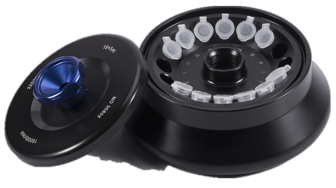 WPS图片(5) Foto WPS (5)