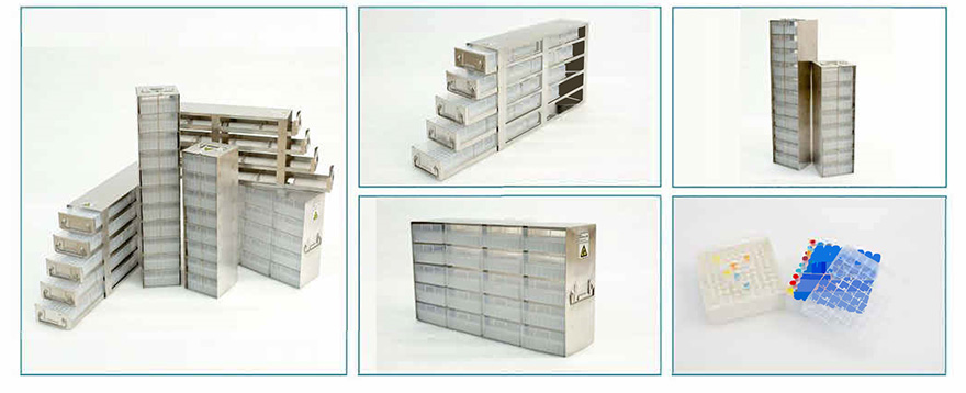 Imagem_20240403151134