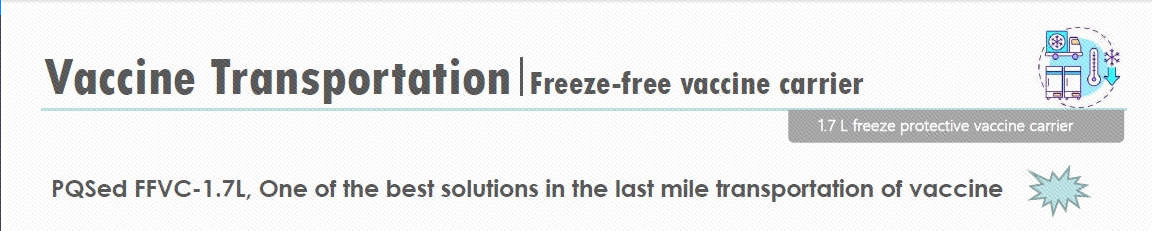 Imagem_20240809153941