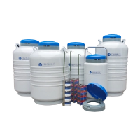 Compreendendo os recipientes de nitrogênio líquido: principais recursos e aplicações